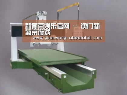 产品名称九