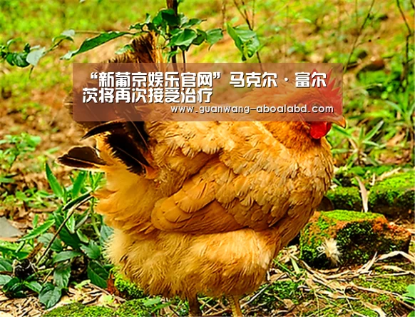 新葡京娱乐官网