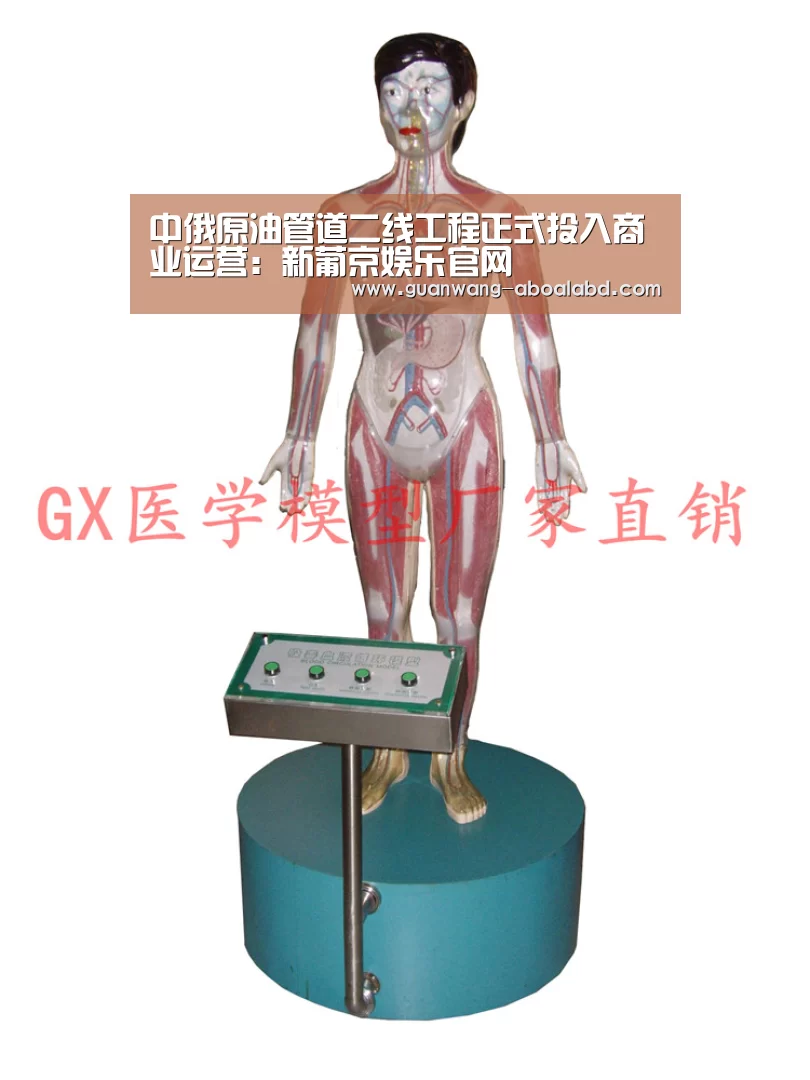 中俄原油管道二线工程正式投入商业运营：新葡京娱乐官网